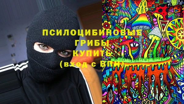 марки lsd Богданович